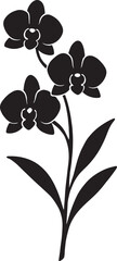 Orchid stem with three blooms silhouette vector, ideal for floral design, botanical decor, logo, and nature art.