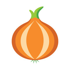 Onion on white background