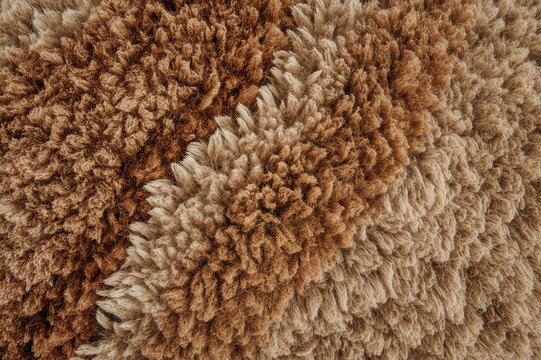 Cozy brown textured area rugs