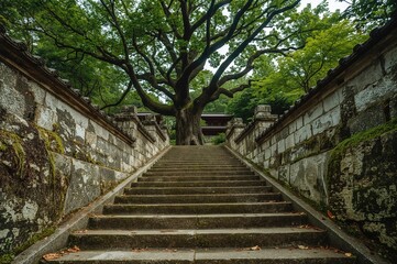 Stone steps covered in moss from a different angle