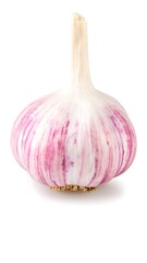 Single head of garlic, isolated on white