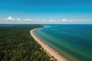 Bird's-eye perspective of coastline with woodland and water under clear sky during summer vacation