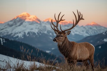 Composite picture of a red deer stag against a radiant mountain backdrop in a breathtaking winter sunrise scene
