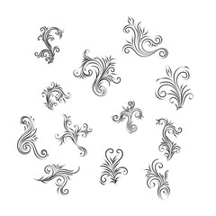 Decorative floral vector ornament on white background