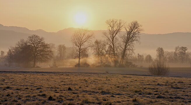 Meadows and trees in the early morning mist in the light of the rising sun, Reusstal, Aristau, Freiamt, Canton Aargau, Switzerland