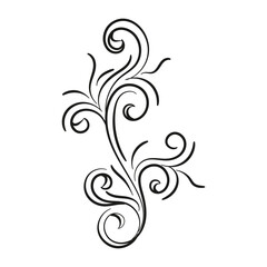 Decorative floral vector ornament on white background