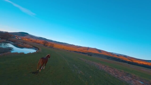 FPV drone flying over horses grazing in a vast mountin landscape at sunset.