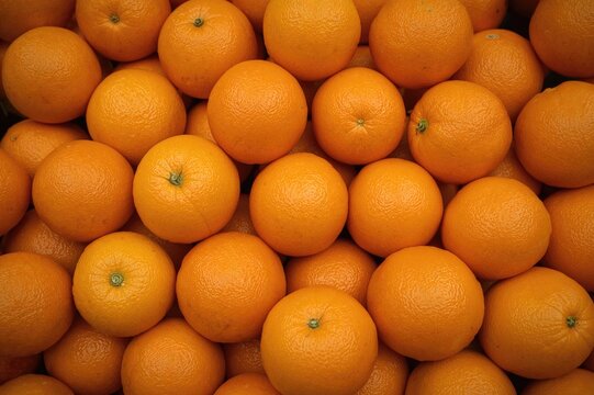 Close-up of Numerous Orange Fruits Displayed for Sale at Market