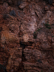 rocks along a fault line