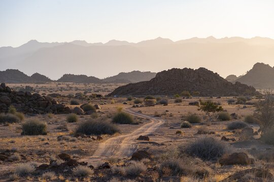 Sandy track, desert landscape in the evening light at sunset, backlit, Brandberg, Erongo, Damaraland, Namibia