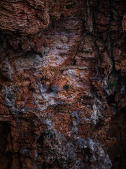 rocks along a fault line