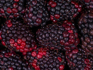 fresh and delicious blackberries
