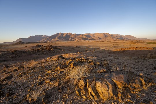 Desert landscape with Brandberg in the morning light, at sunrise, Erongo, Damaraland, Namibia