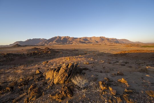 Desert landscape with Brandberg in the morning light, at sunrise, Erongo, Damaraland, Namibia