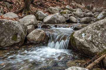 Fototapeta premium Chilly mountain stream cascading over stones
