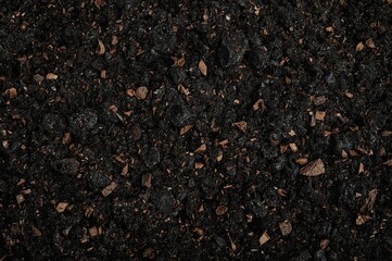 Close-up view of rich, textured dark earth ready for cultivation