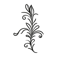 Decorative floral vector ornament on white background