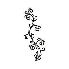 Decorative floral vector ornament on white background