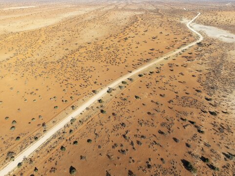 Gravel road in the Kalahari Desert with its linear sand dunes grown with camelthorn trees (Vachellia erioloba). Aerial view. Drone shot. Namibia