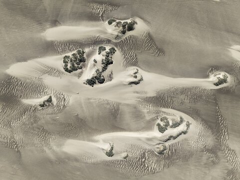 Small sand heaps form around the sparse vegetation in the Namib Desert. Aerial view. Drone shot. Skeleton Coast National Park, Namibia