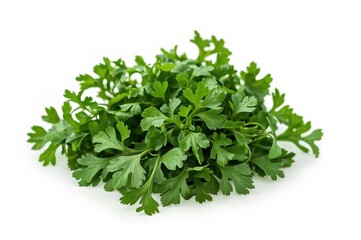 Obraz premium Fresh bunch of flavorful coriander leaves