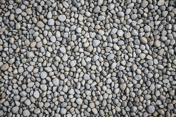 Detailed look at a pale gray surface covered with tiny stones similar to pebbles on a gravel pathway.