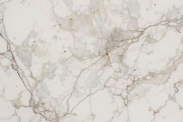 Obraz premium Detailed view of authentic marble surface pattern