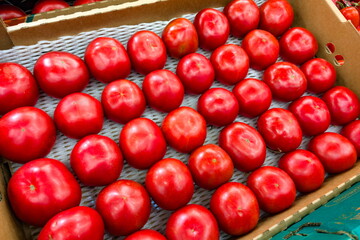 Fresh red tomatoes arranged neatly in a cardboard box at a local market showcasing seasonal produce during the summer harvest