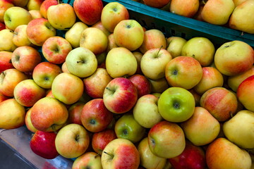 Fresh apples in various colors stacked in a market display inviting customers to choose their...