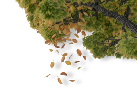 Watching as the tree lets go, painting the air with a stunning swirl of colorful foliage.