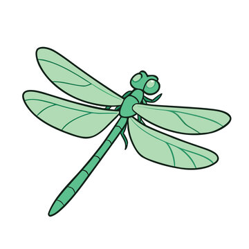recommend clip art: Green dragonfly with large wings and segmented body insect