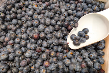 Fresh blueberries collected in a market display with a scoop resting among the berries during a sunny afternoon