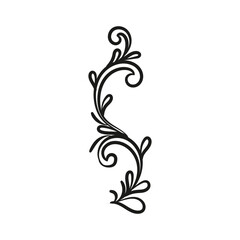 Decorative floral vector ornament on white background