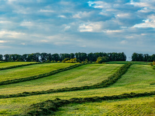 Frisch gemähte Wiese am Abend