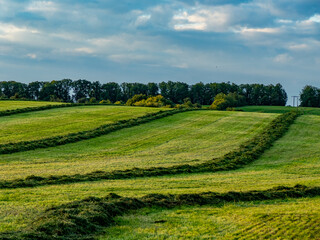 Frisch gemähte Wiese am Abend