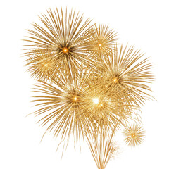 Fototapeta premium Golden fireworks isolated on white or transparent background