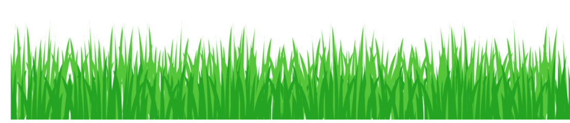 Green grass border frame. vector illustration.