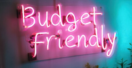 Bright pink neon sign displays Budget Friendly. Wall background shows blue, purple hues. Minimalist aesthetic, modern design.