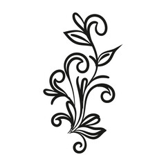 Decorative floral vector ornament on white background