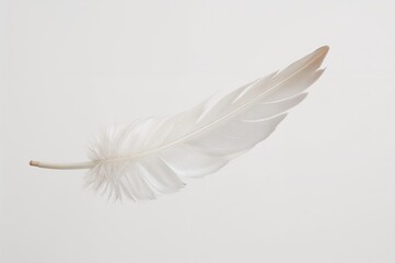 Obraz premium Delicate white plume drifting through the atmosphere