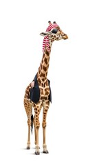 Naklejka premium giraffe dressed as a pirate, Halloween costume, Holiday