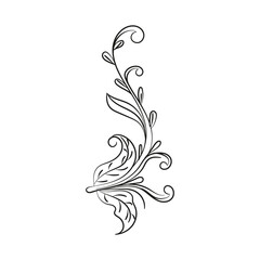 Fototapeta premium Decorative floral vector ornament on white background