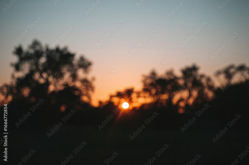 Poster sunset casting a soft focus on the forest