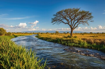 Fototapeta premium Aquatic vegetation thriving in arid desert landscapes