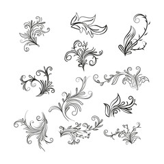 Decorative floral vector ornament on white background