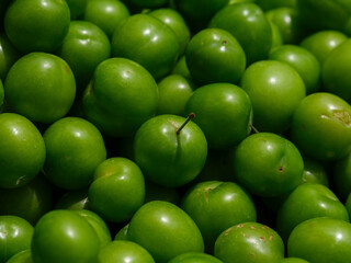 fresh organic plums after harvest