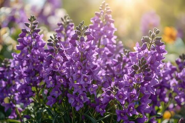 Obraz premium Spring Blooms Featuring Purple Bell Flowers and Campanula