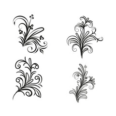 Decorative floral vector ornament on white background