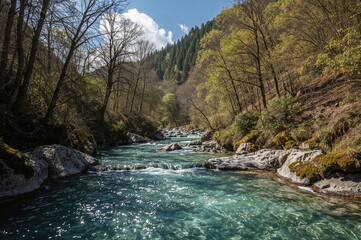 Stunning gorge featuring emerald waters in a lush setting