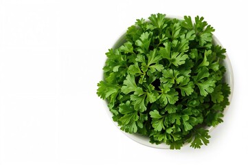 Fototapeta premium Fresh parsley displayed against a plain white surface. Overhead perspective. Herb leaves with blank area for writing. Green leafy herbs separated on white. Parsley foliage on a clean white backdrop.